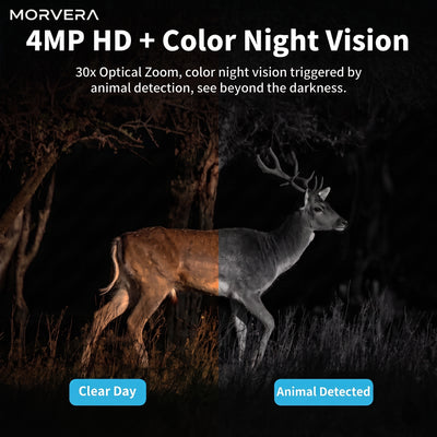 Solar Powered 4G Outdoor Security Camera VIP