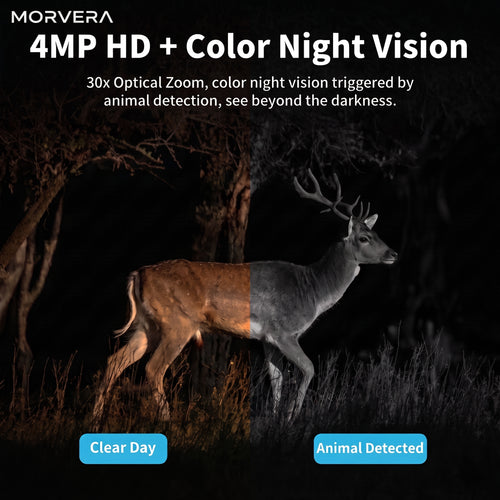 Solar Powered 4G Outdoor Security Camera