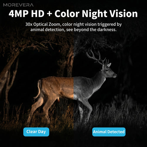 Solar Powered 4G Outdoor Security Camera